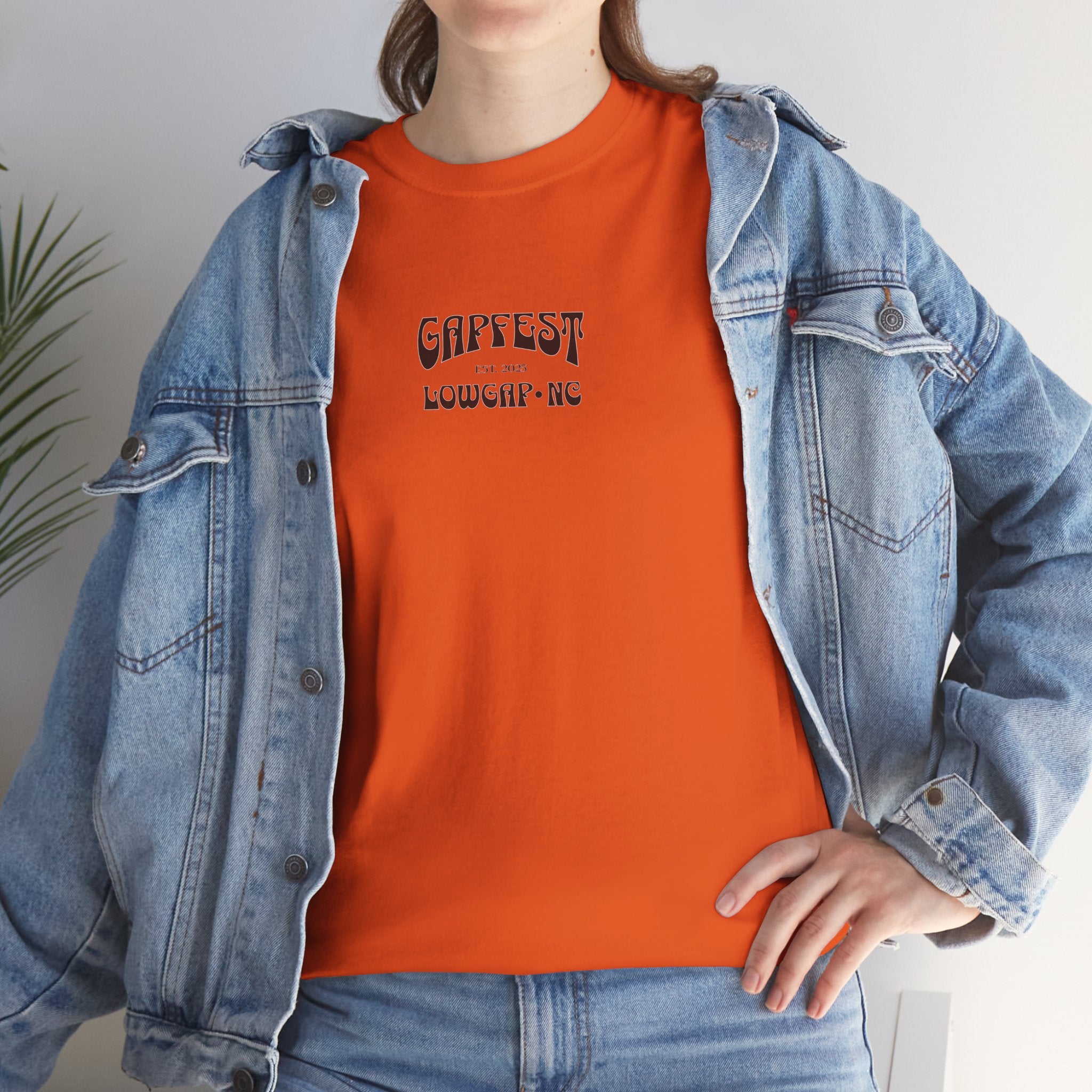 GapFest Campfire Logo T-Shirt — Lowgap, NC Festival Tee