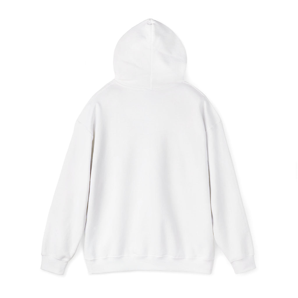 GapFest Lowgap NC Hoodie — Vintage College-Style Pullover