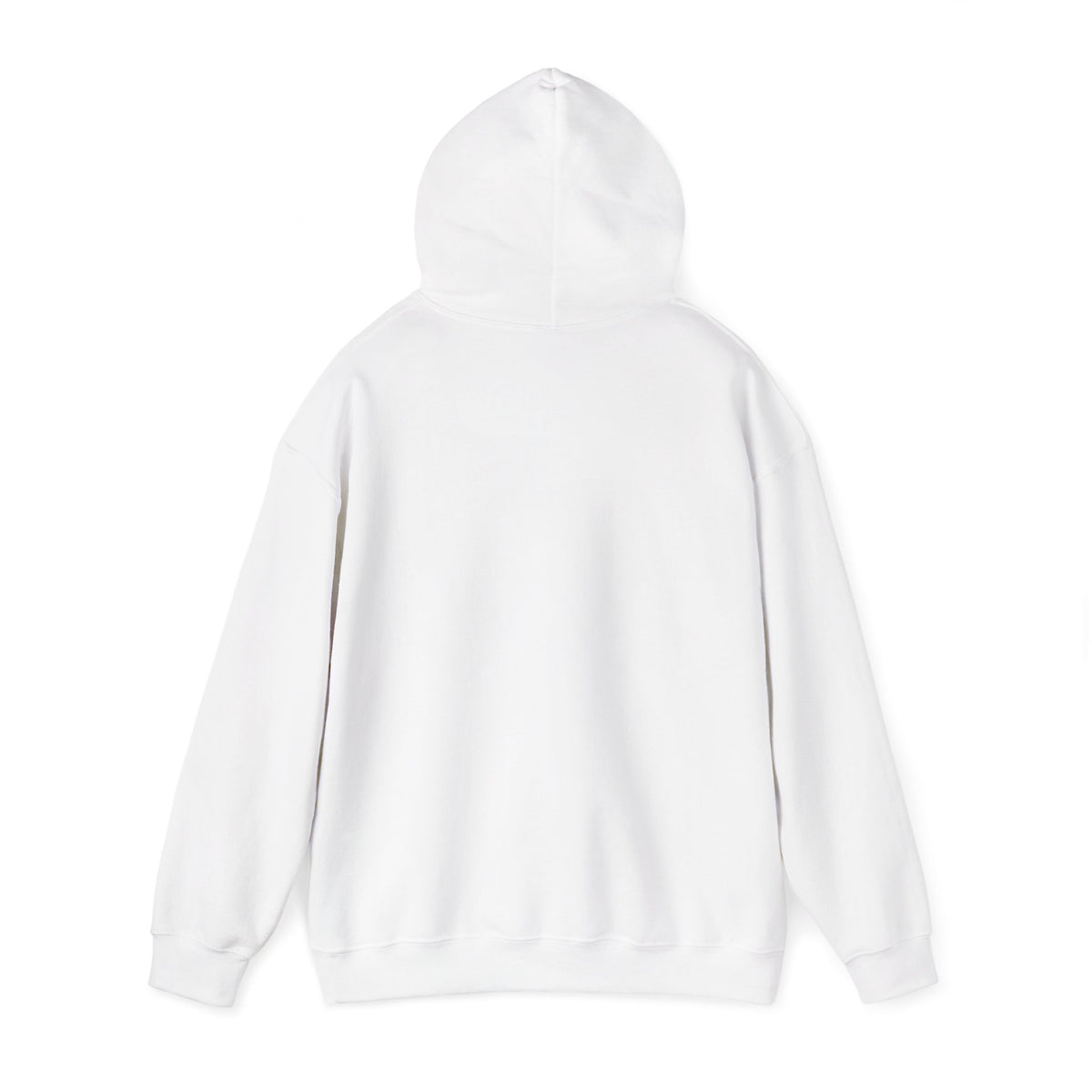 GapFest Lowgap NC Hoodie — Vintage College-Style Pullover