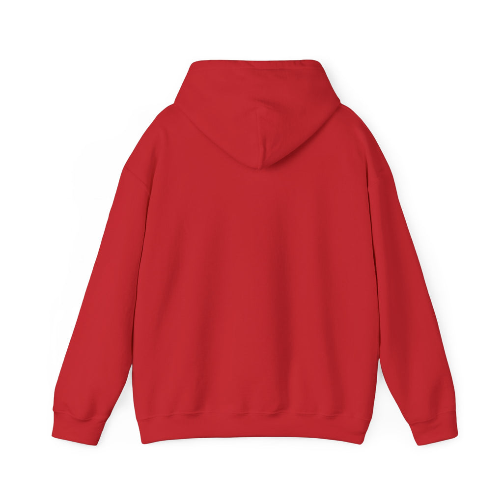 GapFest Lowgap NC Hoodie — Vintage College-Style Pullover