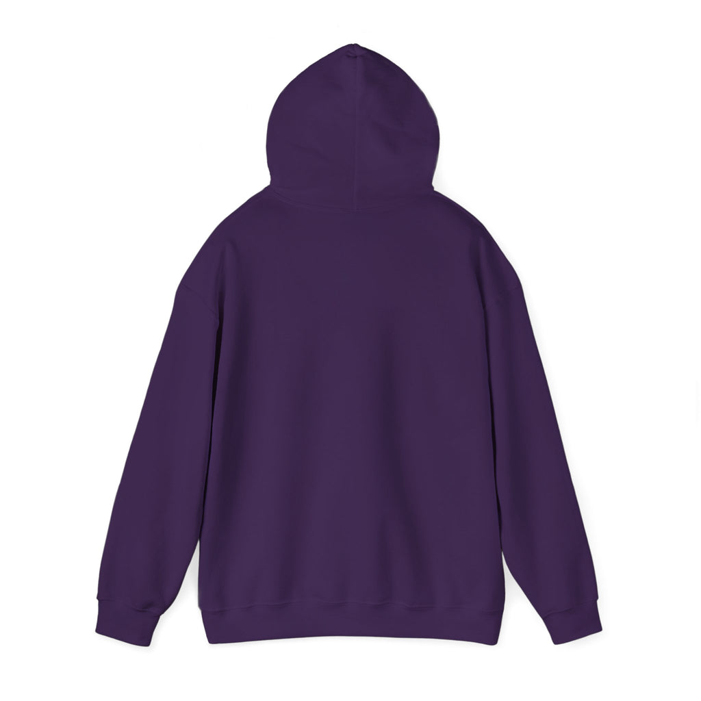 GapFest Lowgap NC Hoodie — Vintage College-Style Pullover