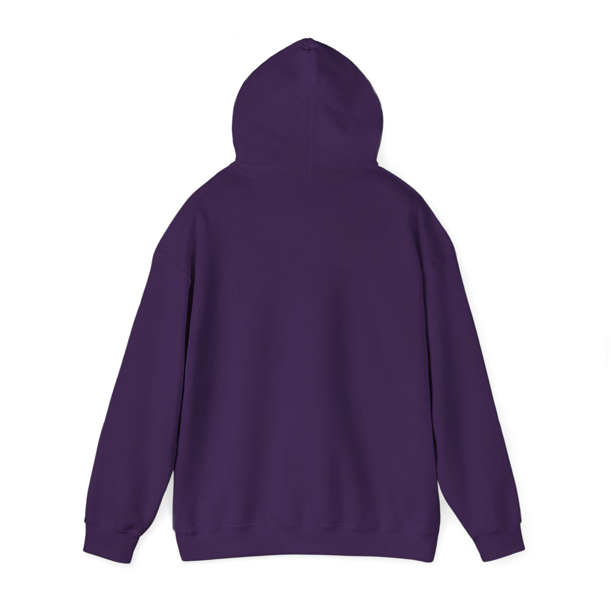 GapFest Lowgap NC Hoodie — Vintage College-Style Pullover