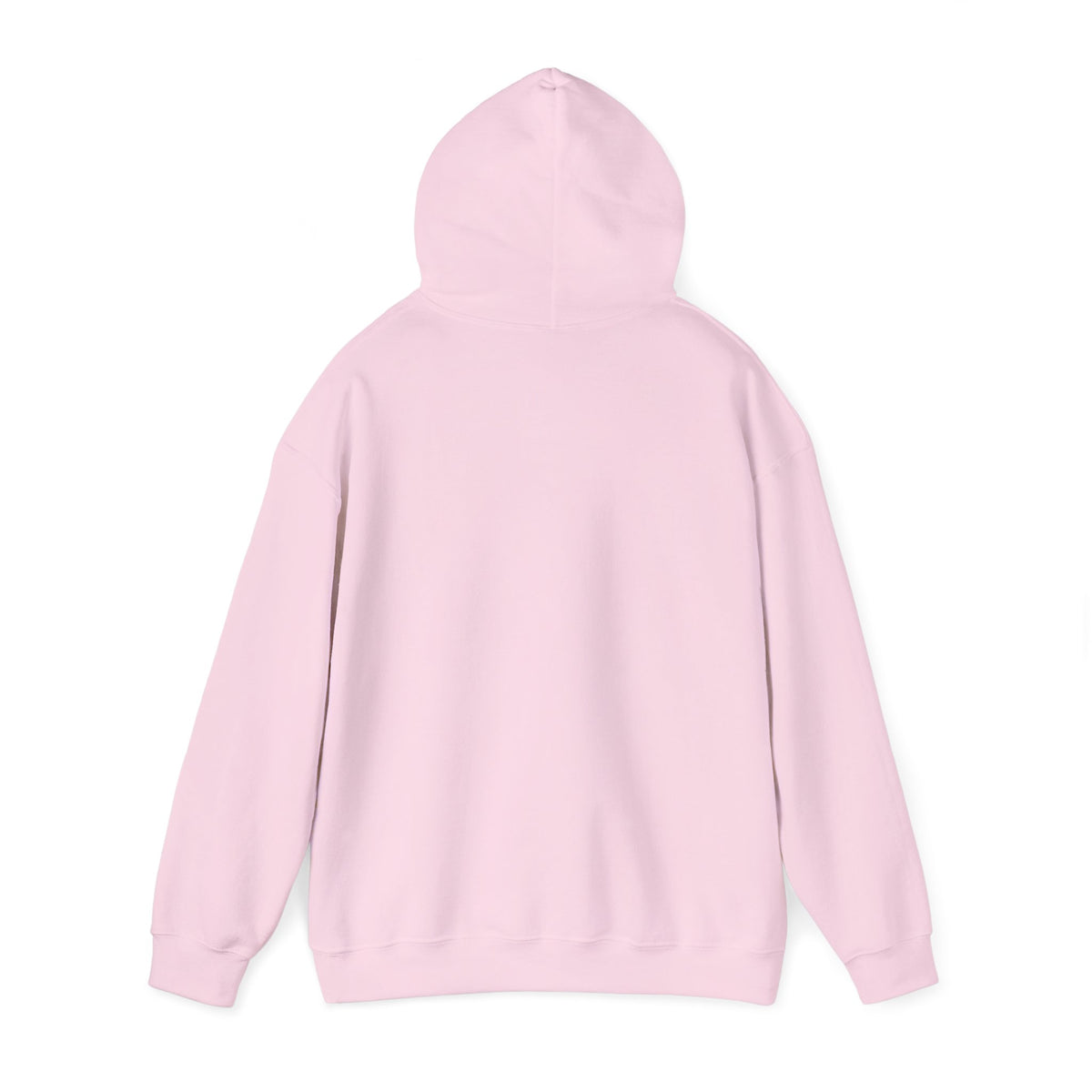 GapFest Lowgap NC Hoodie — Vintage College-Style Pullover