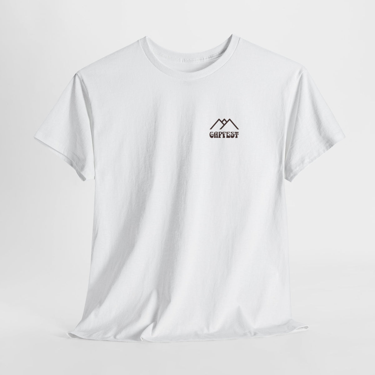 Gapfest 2025 OG Campfire Tee — Lowgap, NC T-Shirt (Est. 2025)