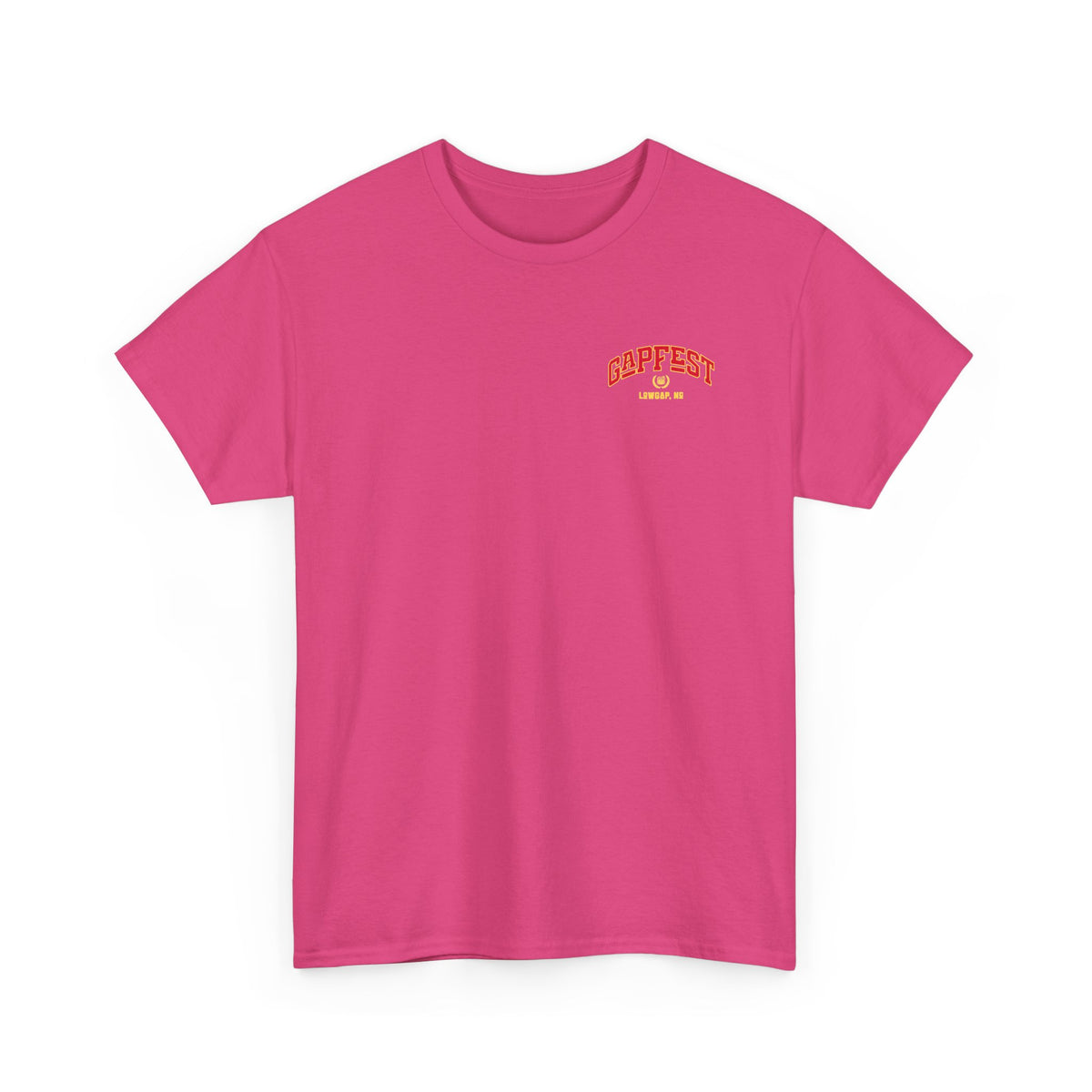 GapFest Lowgap NC T-Shirt — Vintage College Style Tee