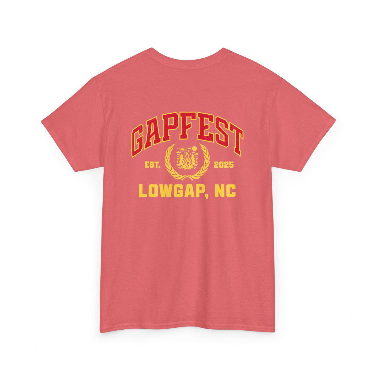 GapFest Lowgap NC T-Shirt — Vintage College Style Tee