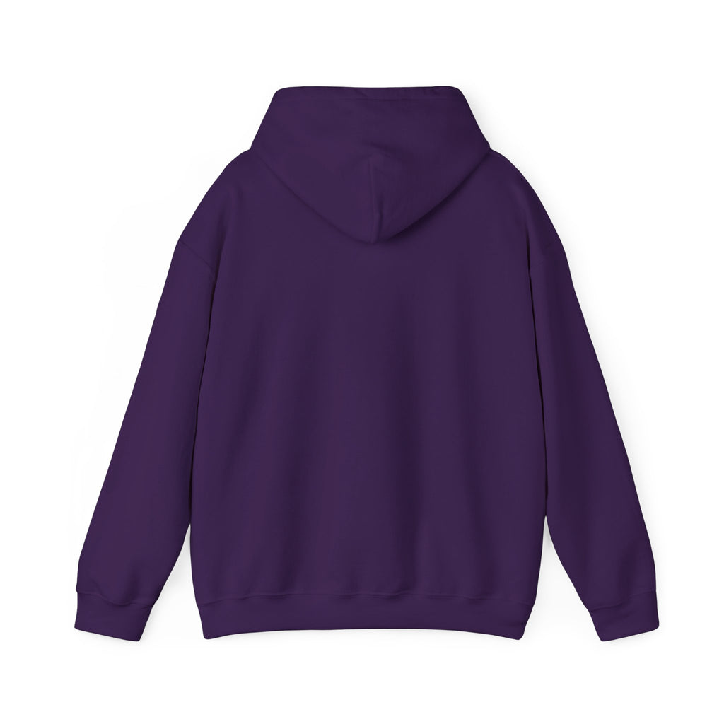 GapFest Lowgap NC Hoodie — Vintage College-Style Pullover