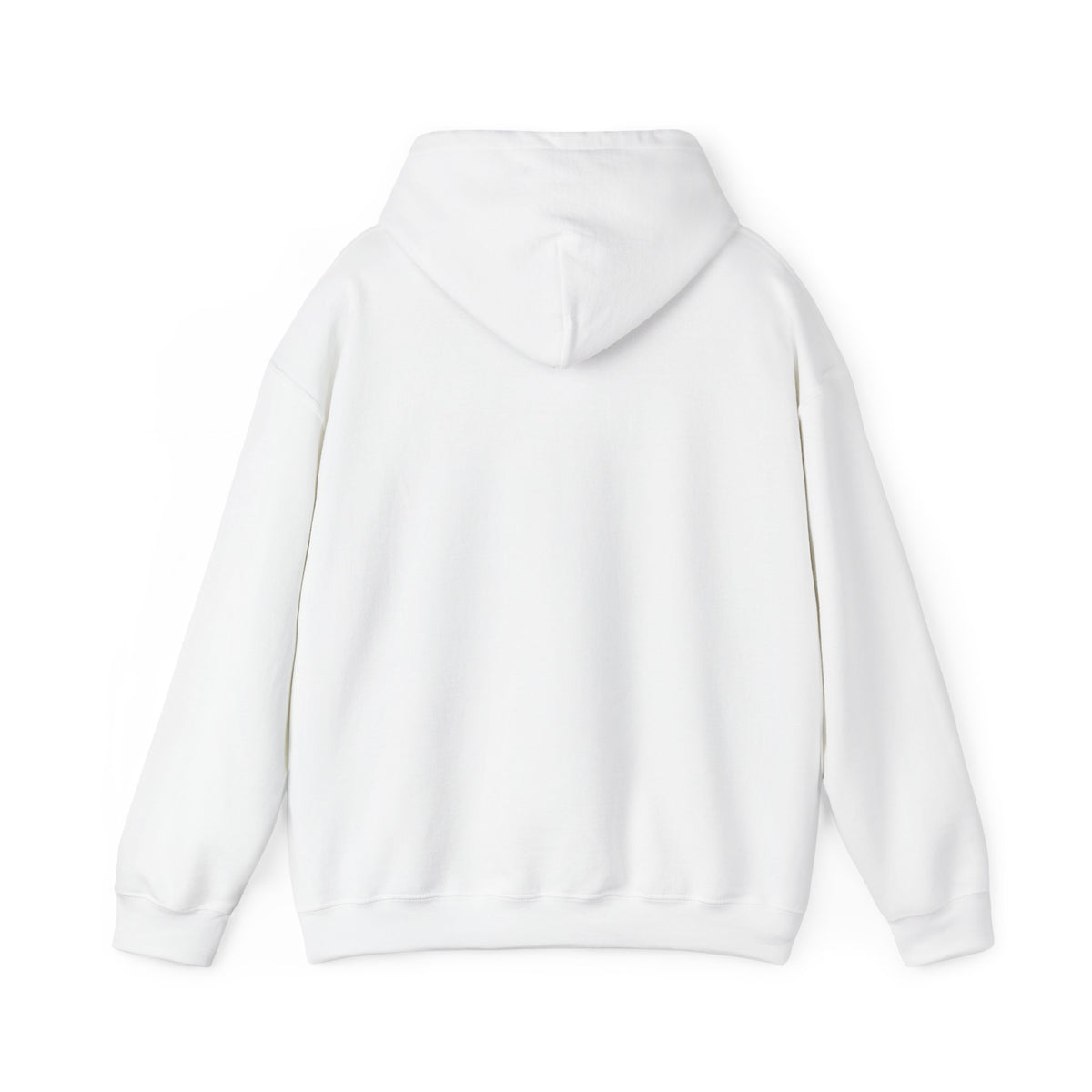 GapFest Lowgap NC Hoodie — Vintage College-Style Pullover