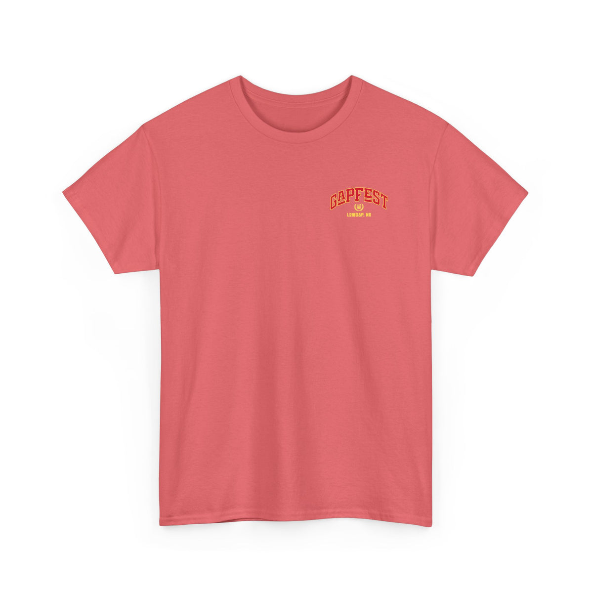 GapFest Lowgap NC T-Shirt — Vintage College Style Tee