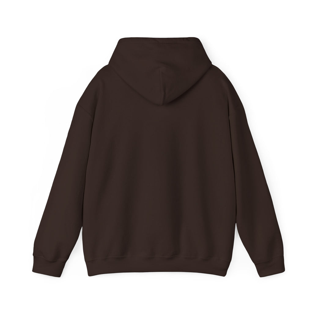 GapFest Lowgap NC Hoodie — Vintage College-Style Pullover