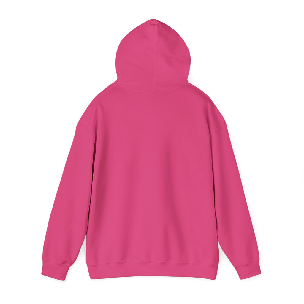 GapFest Lowgap NC Hoodie — Vintage College-Style Pullover