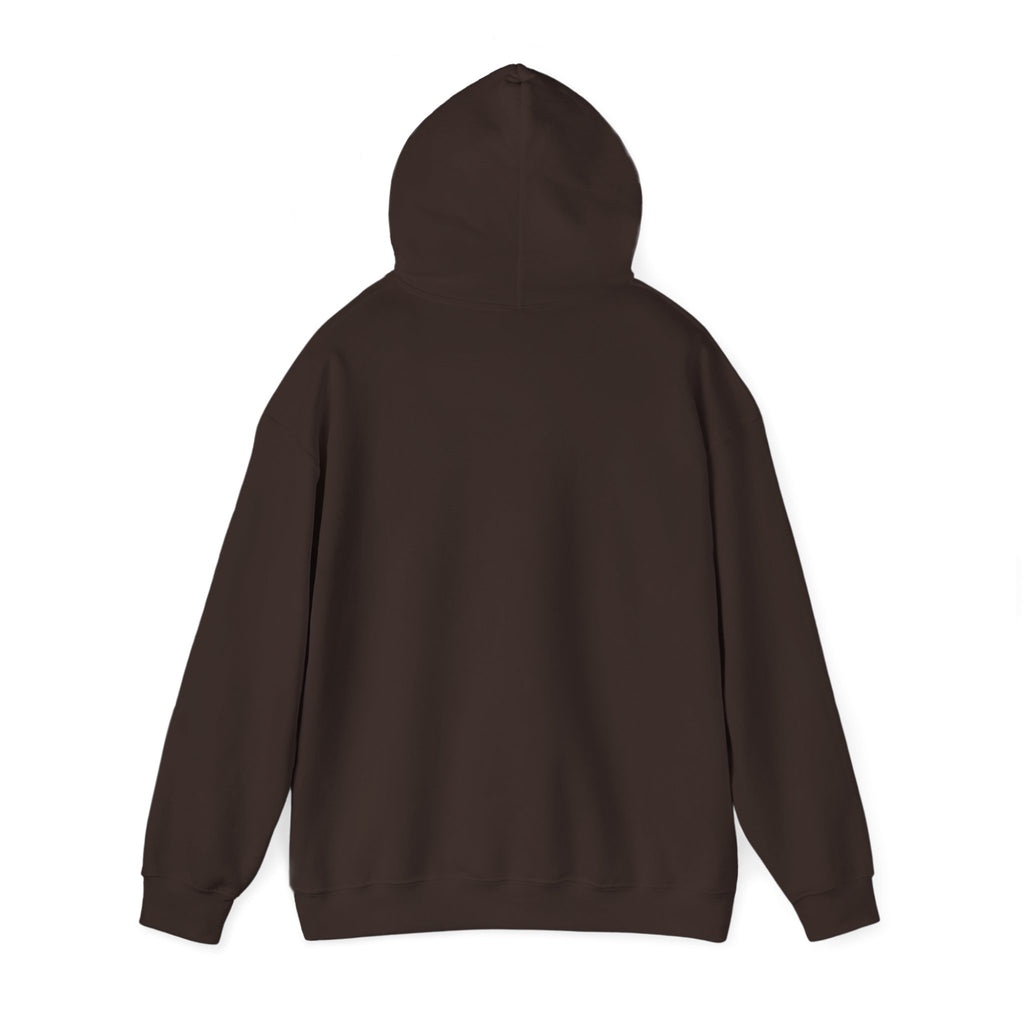 GapFest Lowgap NC Hoodie — Vintage College-Style Pullover