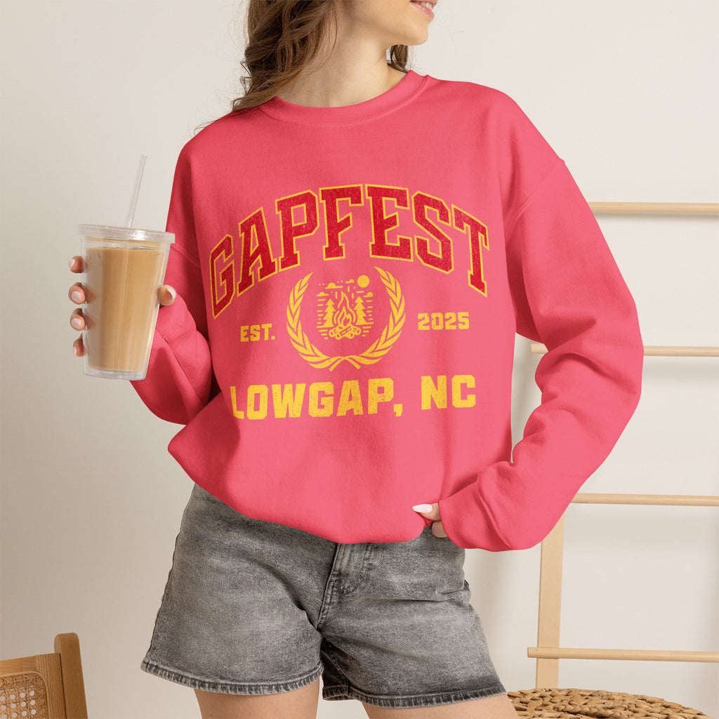 Gapfest Lowgap NC Crewneck Sweatshirt – Vintage College-Style Pullover