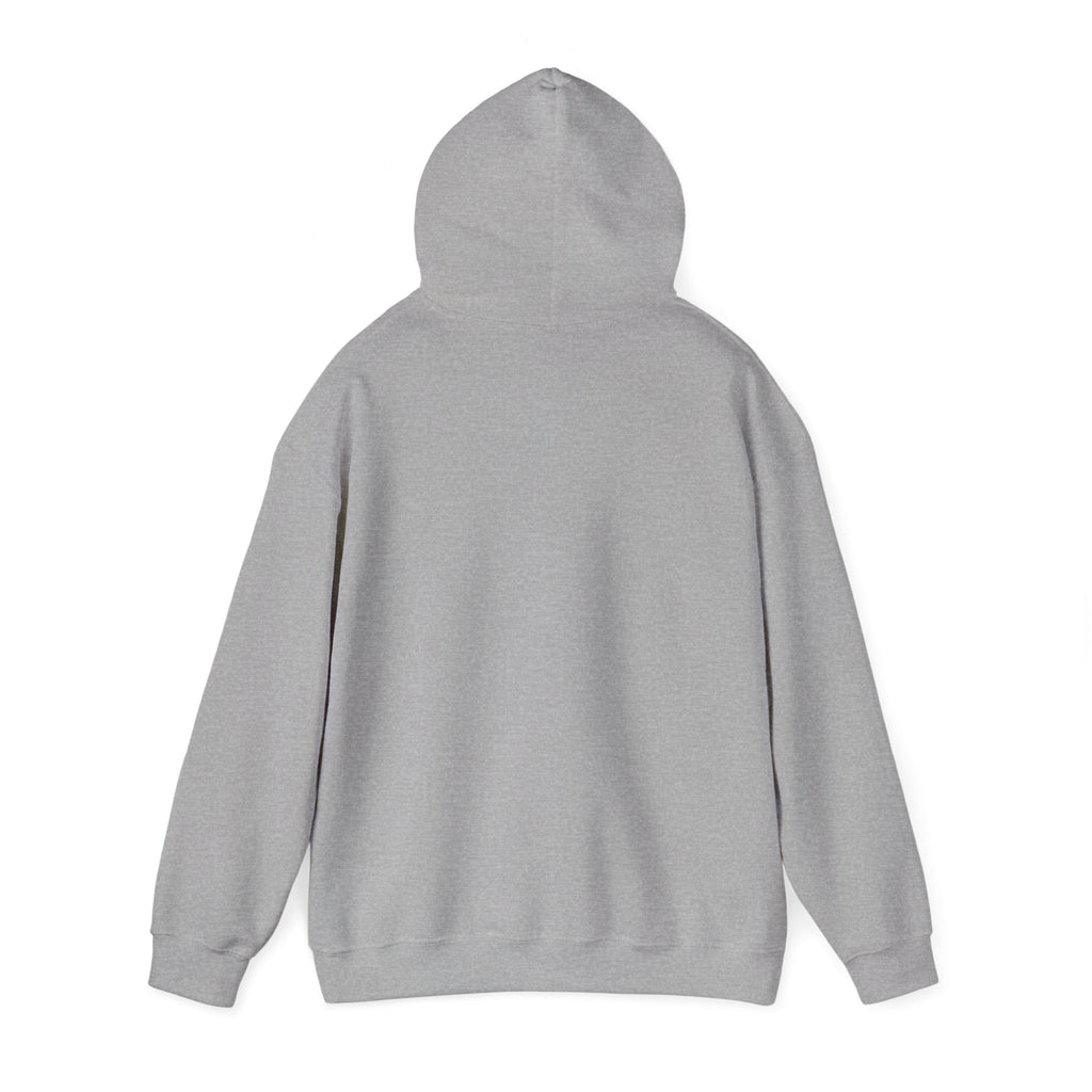 GapFest Lowgap NC Hoodie — Vintage College-Style Pullover
