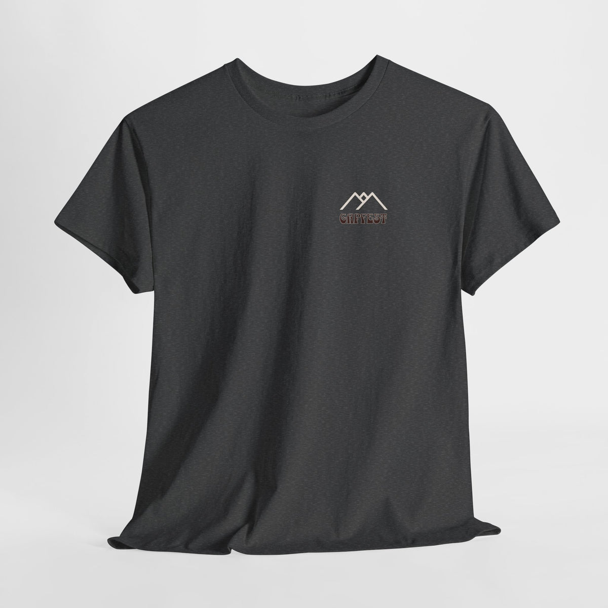 Gapfest 2025 OG Campfire Tee — Lowgap, NC T-Shirt (Est. 2025)