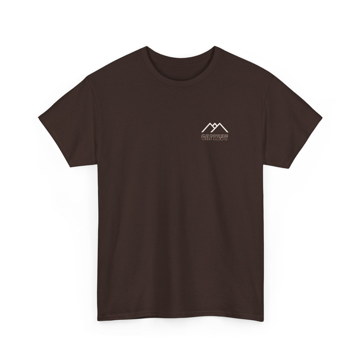 Gapfest 2025 OG Campfire Tee — Lowgap, NC T-Shirt (Est. 2025)