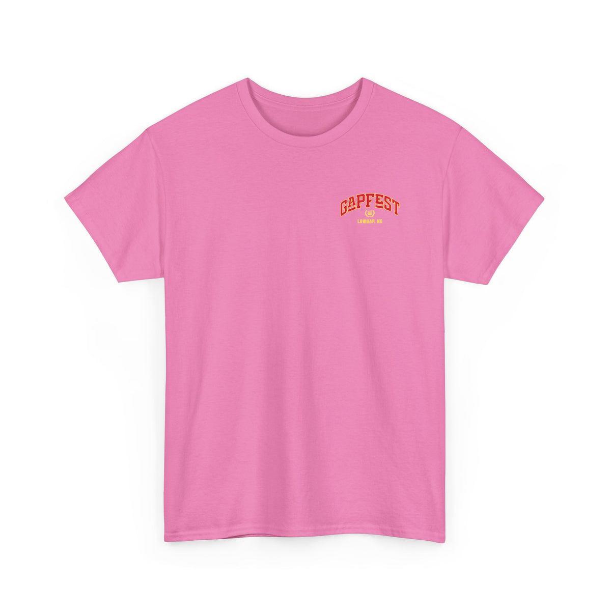 GapFest Lowgap NC T-Shirt — Vintage College Style Tee
