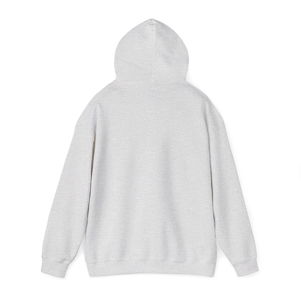 GapFest Lowgap NC Hoodie — Vintage College-Style Pullover
