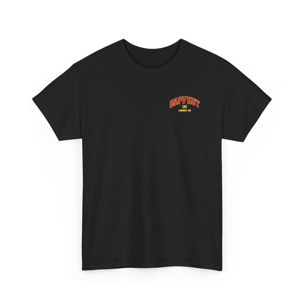 GapFest Lowgap NC T-Shirt — Vintage College Style Tee