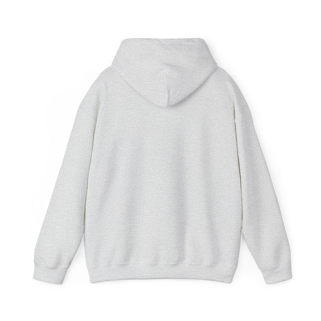 GapFest Lowgap NC Hoodie — Vintage College-Style Pullover