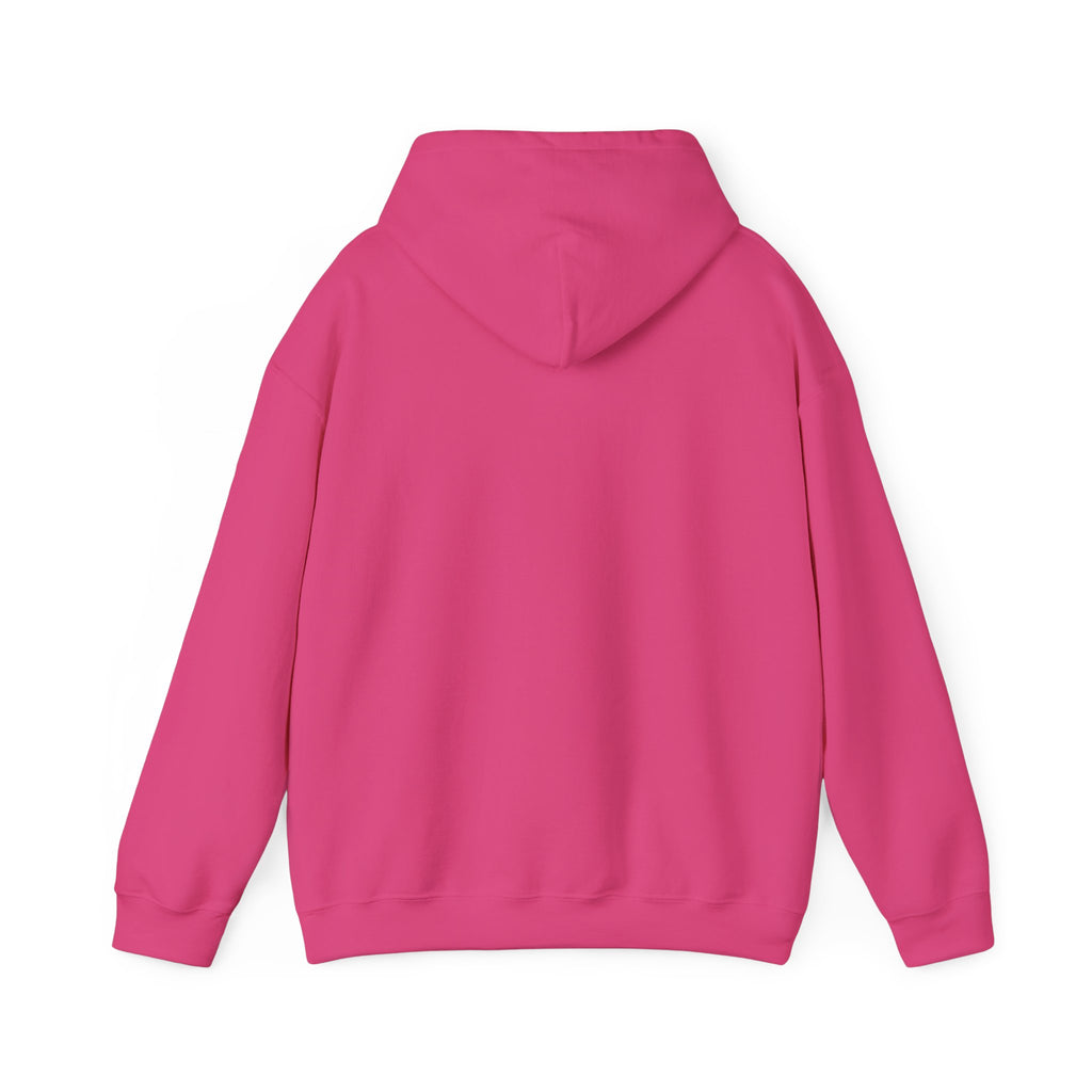 GapFest Lowgap NC Hoodie — Vintage College-Style Pullover