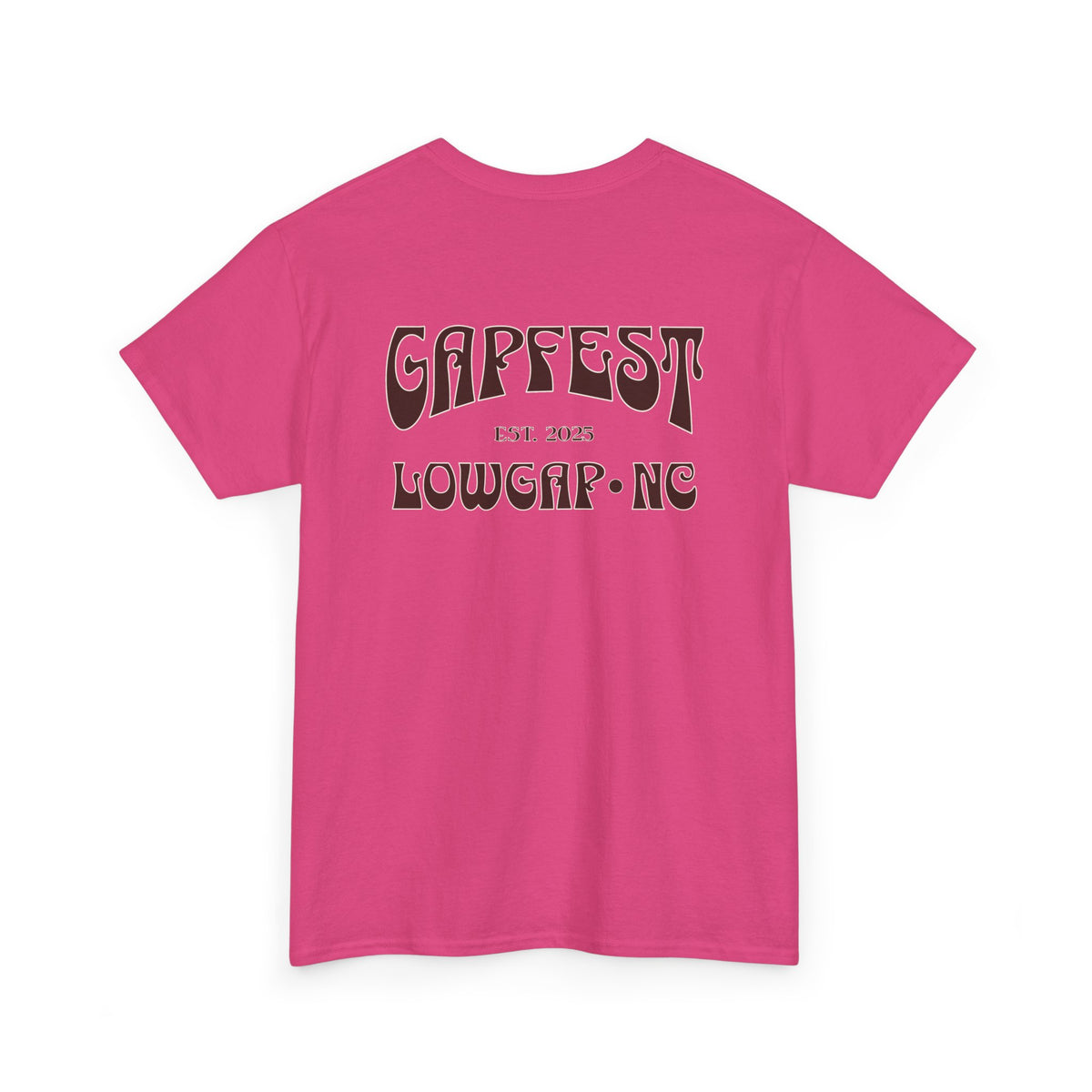 GapFest 2025 OG T-Shirt — GapFest Lowgap NC Retro Mountain Tee
