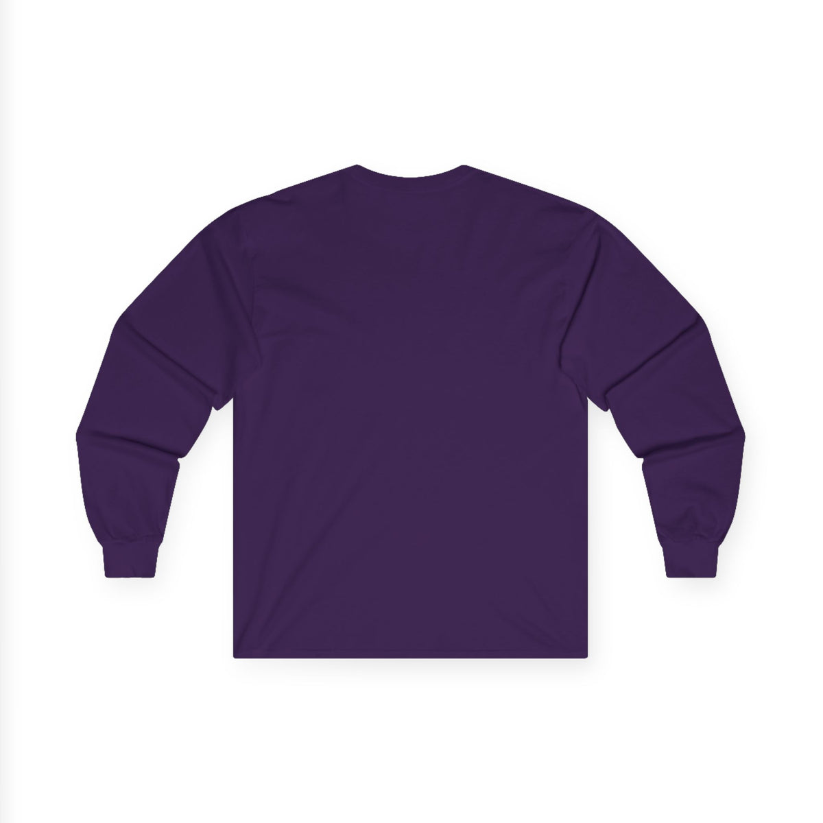GapFest Front Design Long Sleeve Tee —  Vintage College Crest Shirt