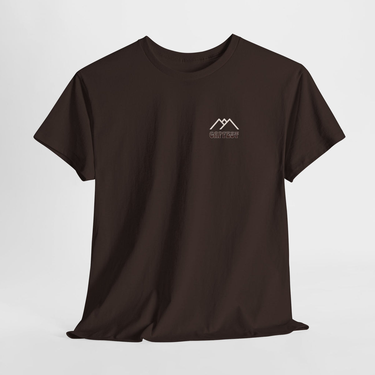 Gapfest 2025 OG Campfire Tee — Lowgap, NC T-Shirt (Est. 2025)