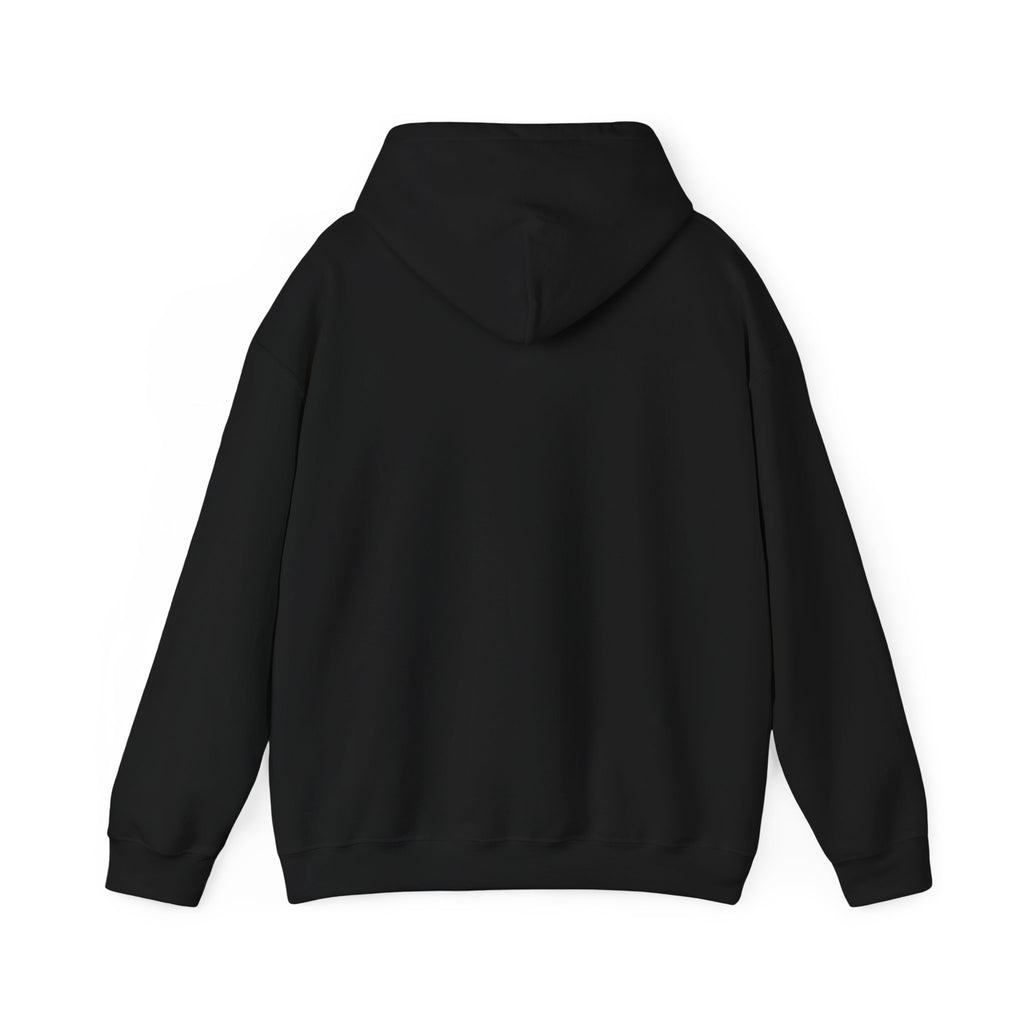 GapFest Lowgap NC Hoodie — Vintage College-Style Pullover