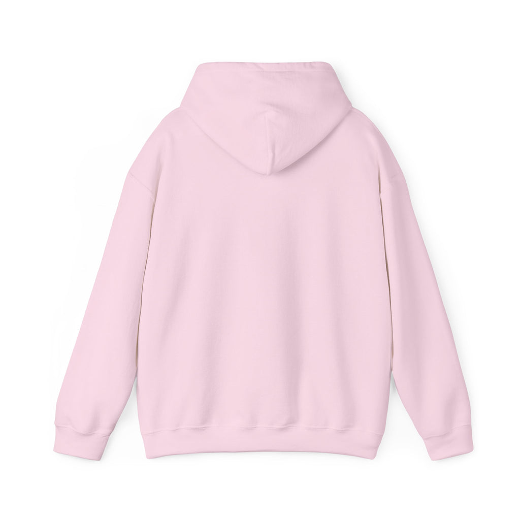 GapFest Lowgap NC Hoodie — Vintage College-Style Pullover