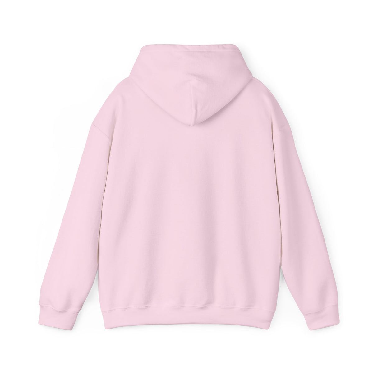 GapFest Lowgap NC Hoodie — Vintage College-Style Pullover