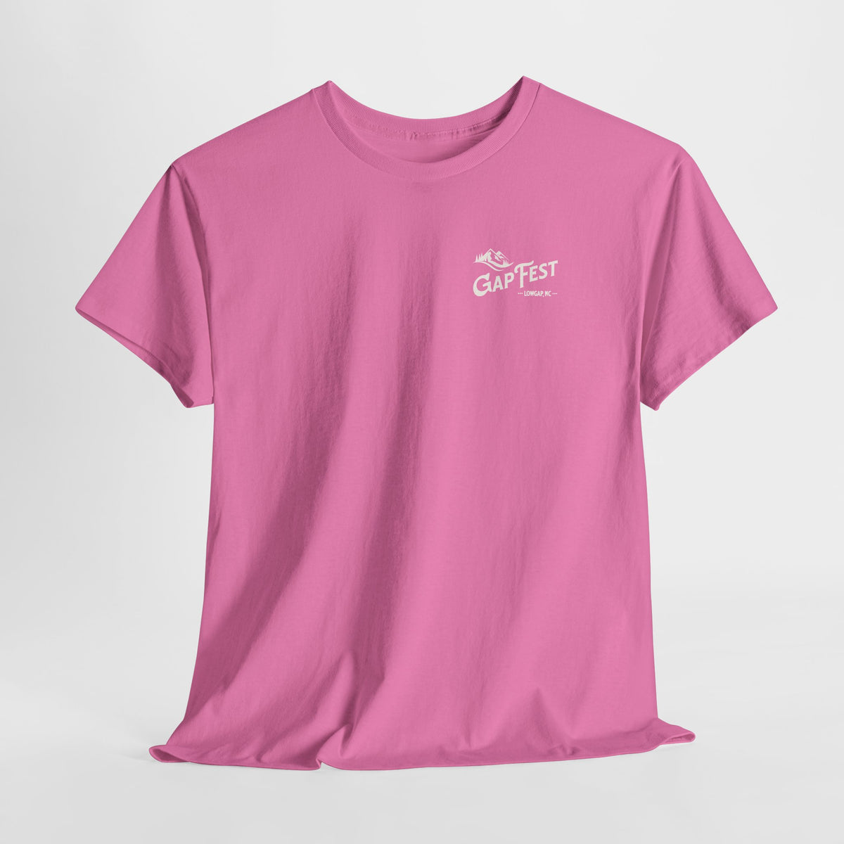 GapFest 2026 Vintage Logo T-Shirt