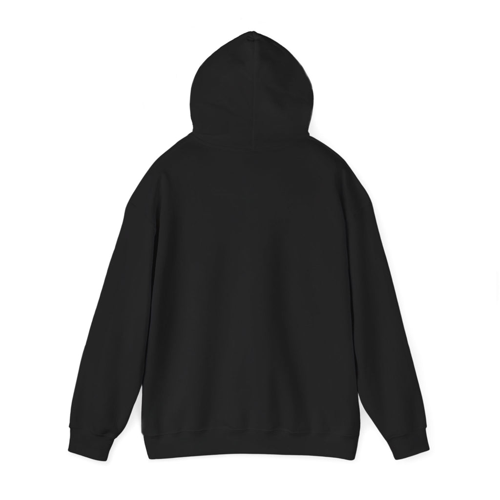 GapFest Lowgap NC Hoodie — Vintage College-Style Pullover