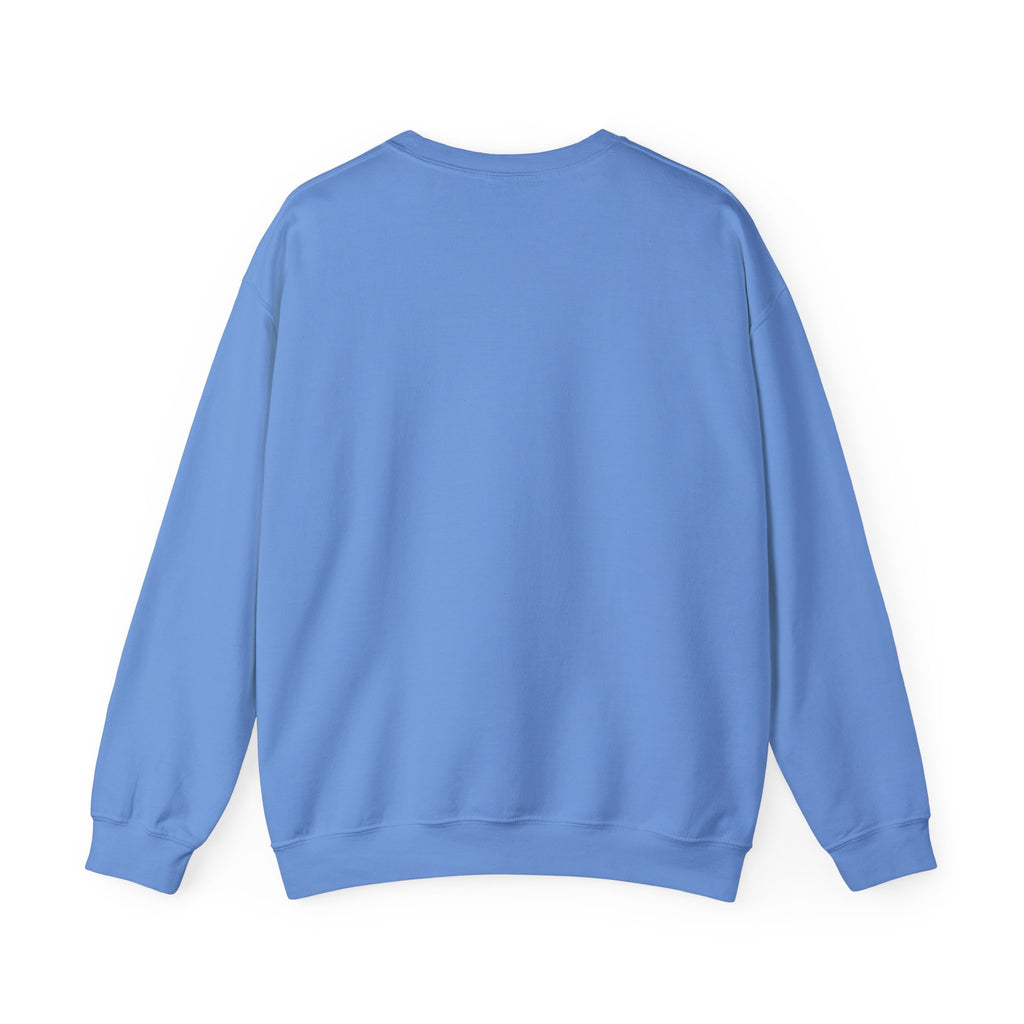 Gapfest Lowgap NC Crewneck Sweatshirt – Vintage College-Style Pullover