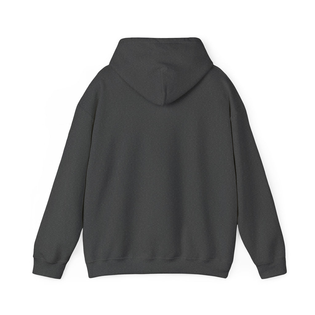 GapFest Lowgap NC Hoodie — Vintage College-Style Pullover