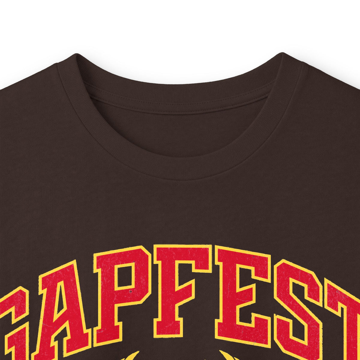 GapFest Front Design Long Sleeve Tee —  Vintage College Crest Shirt