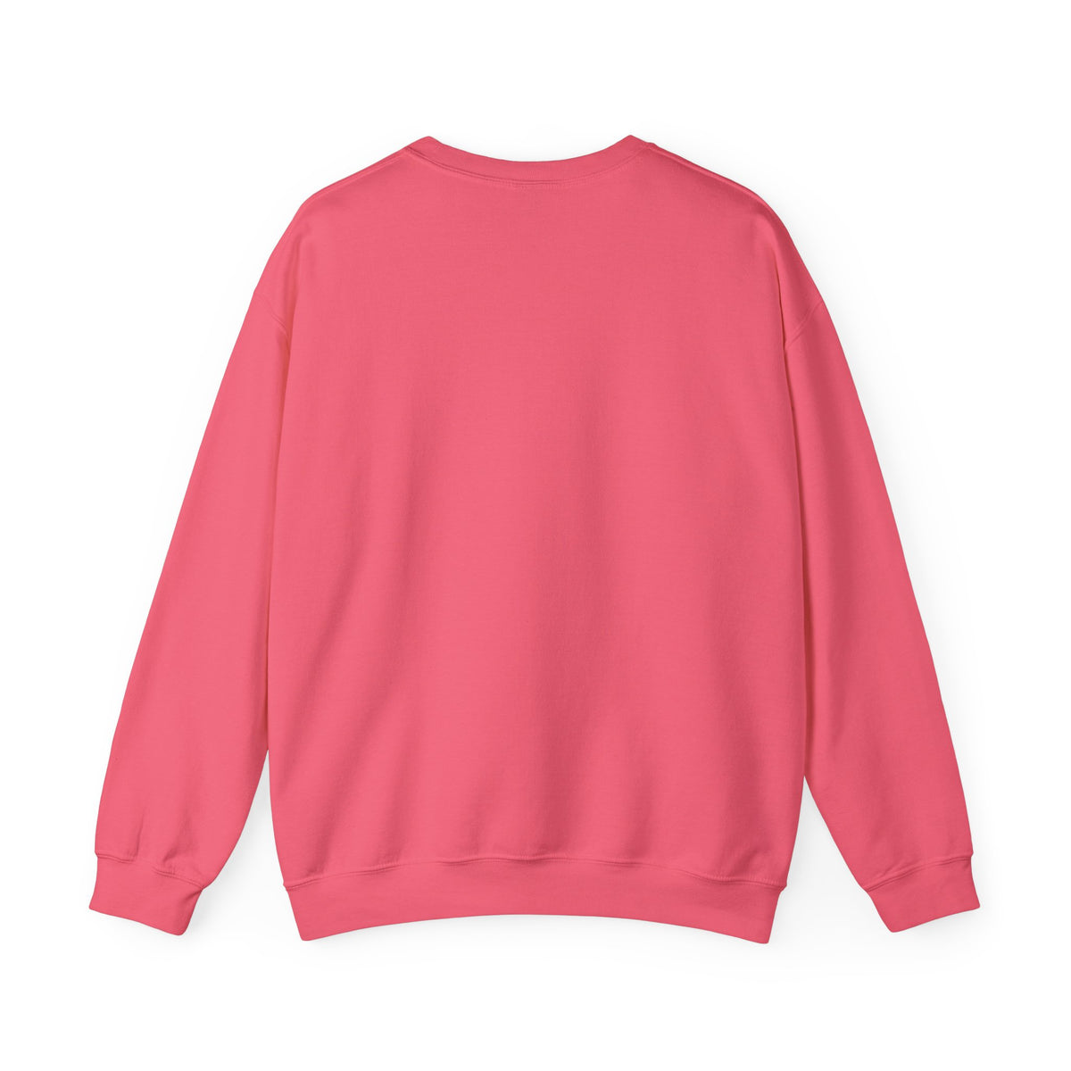 Gapfest Lowgap NC Crewneck Sweatshirt – Vintage College-Style Pullover