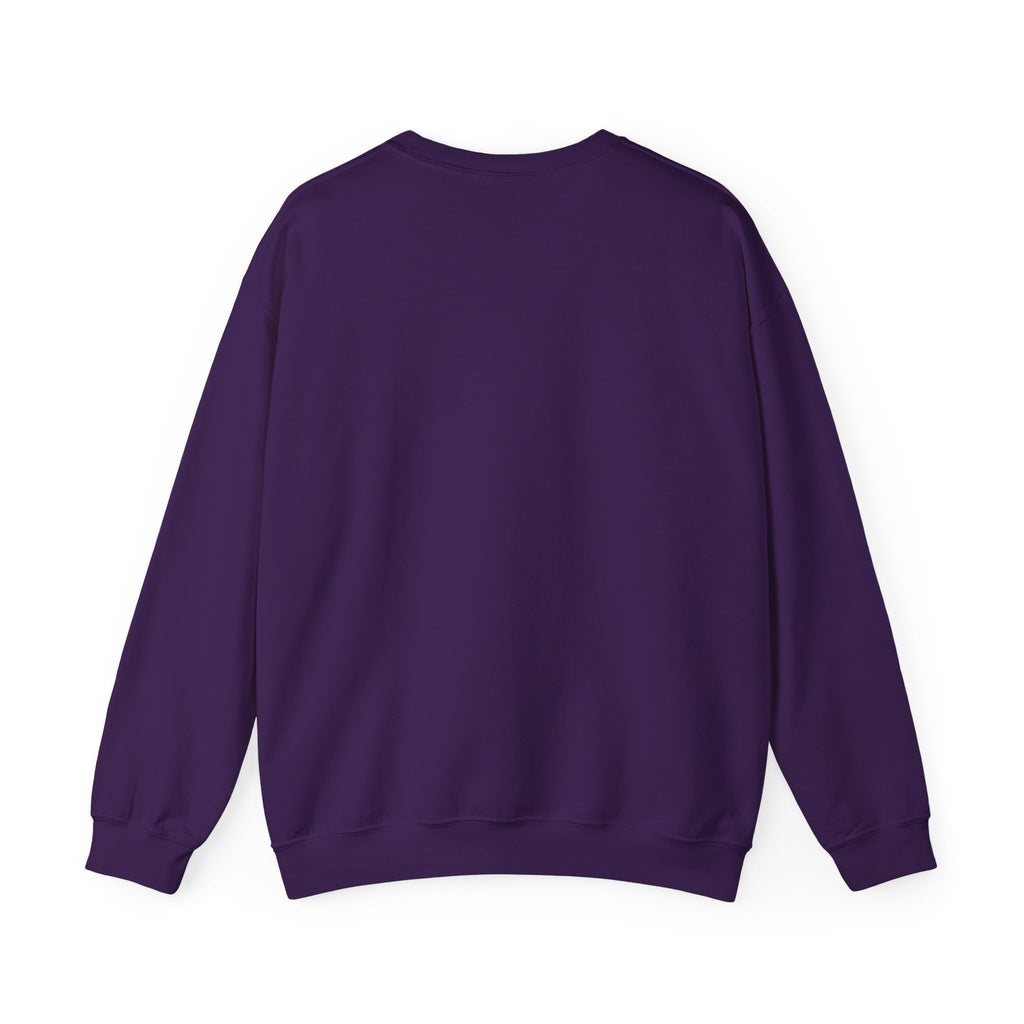 Gapfest Lowgap NC Crewneck Sweatshirt – Vintage College-Style Pullover