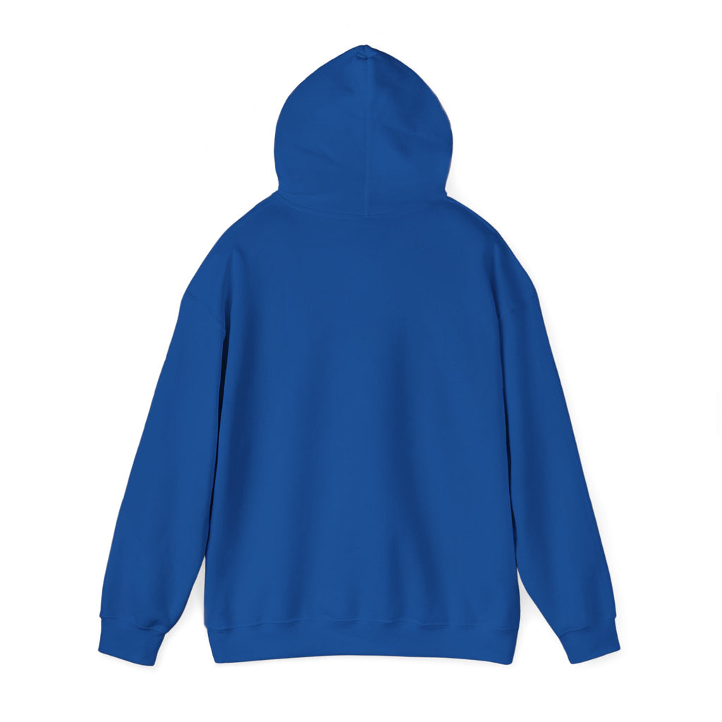 GapFest Lowgap NC Hoodie — Vintage College-Style Pullover