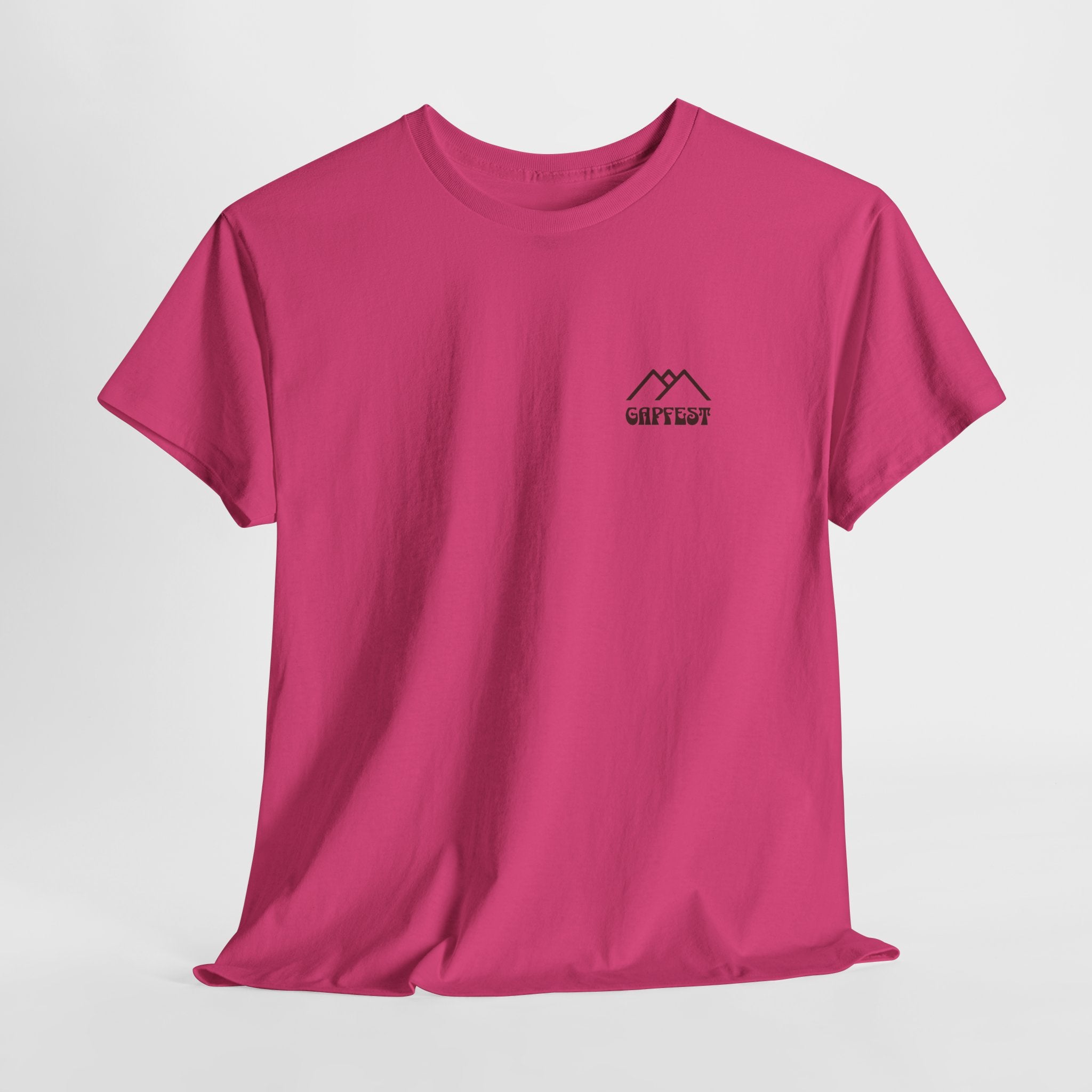 GapFest Dancing Skeletons T-Shirt - Lowgap NC Festival Tee