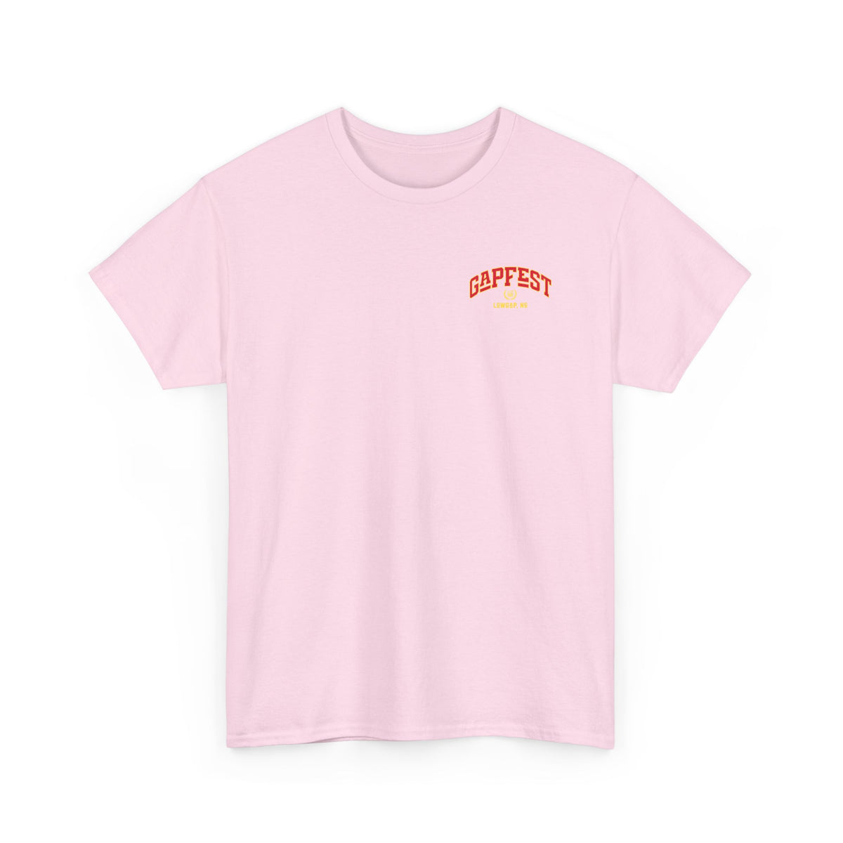 GapFest Lowgap NC T-Shirt — Vintage College Style Tee