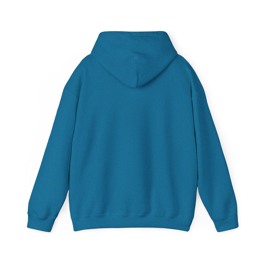 GapFest Lowgap NC Hoodie — Vintage College-Style Pullover